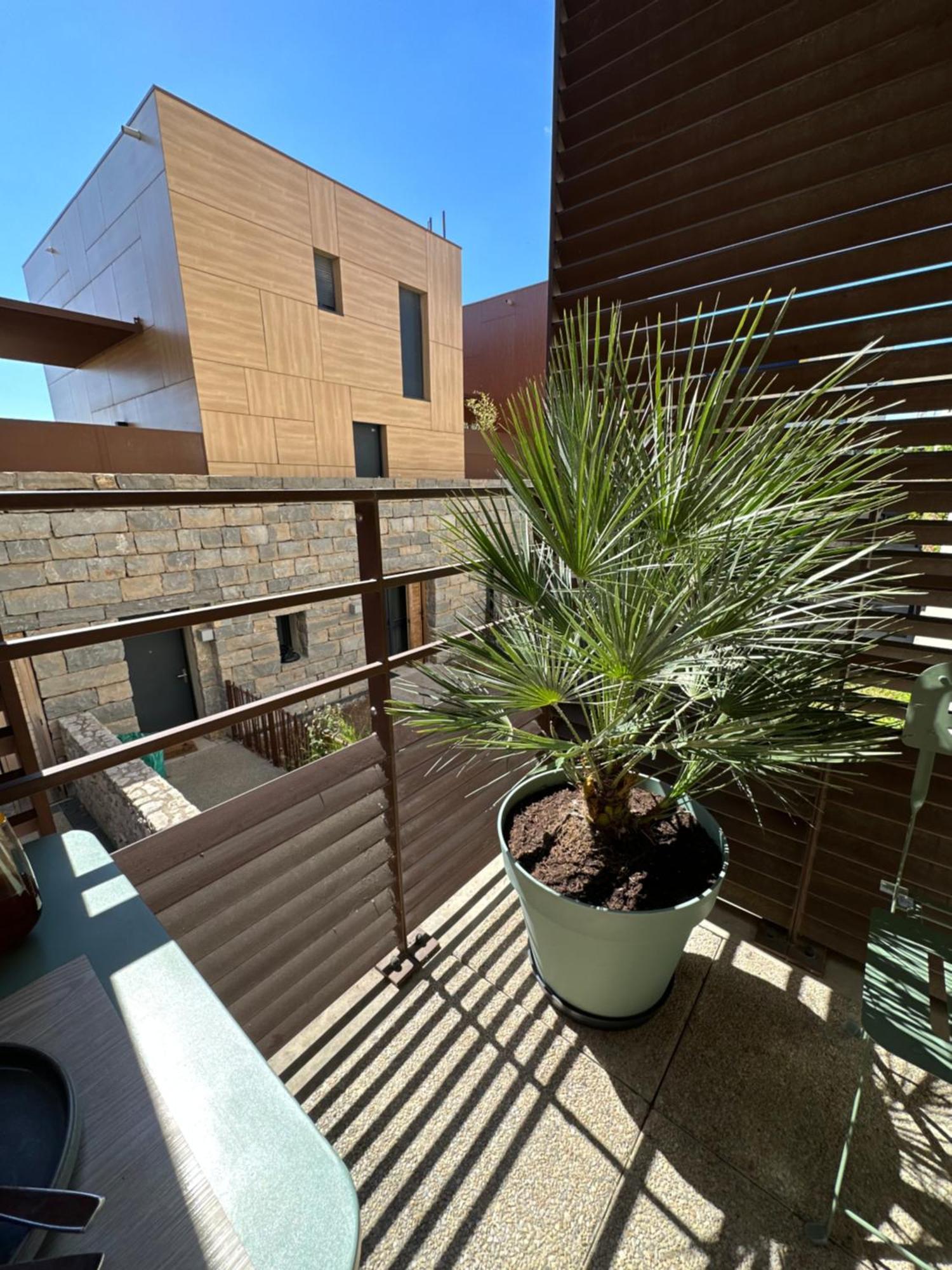 Appartement Charmant Au Porte De Montpellier Сен-Жан-де-Веда Экстерьер фото